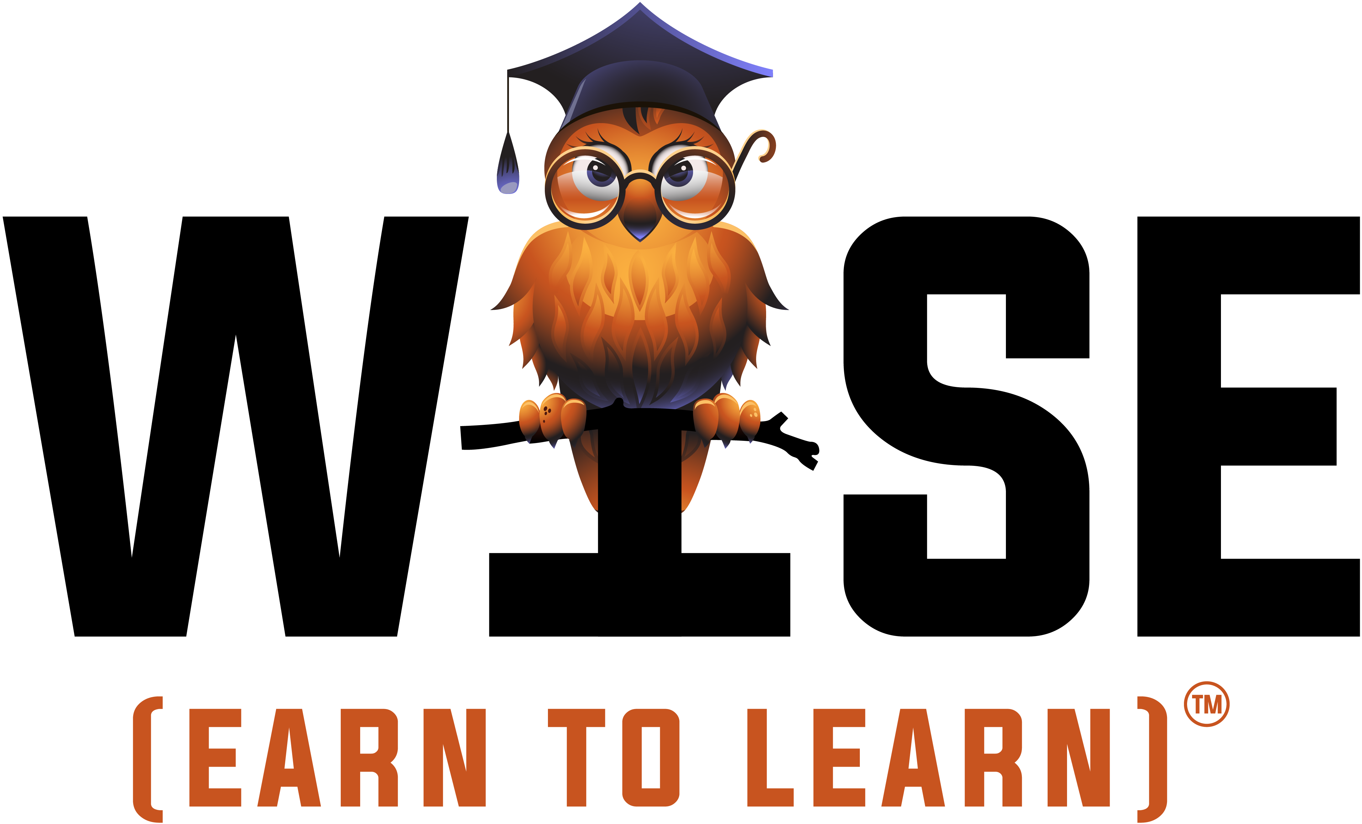 WISE Scholarship Program™ | Empowering the Stranded Superstar Through ...